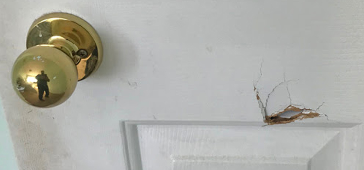 interior door hole repair East Porterville